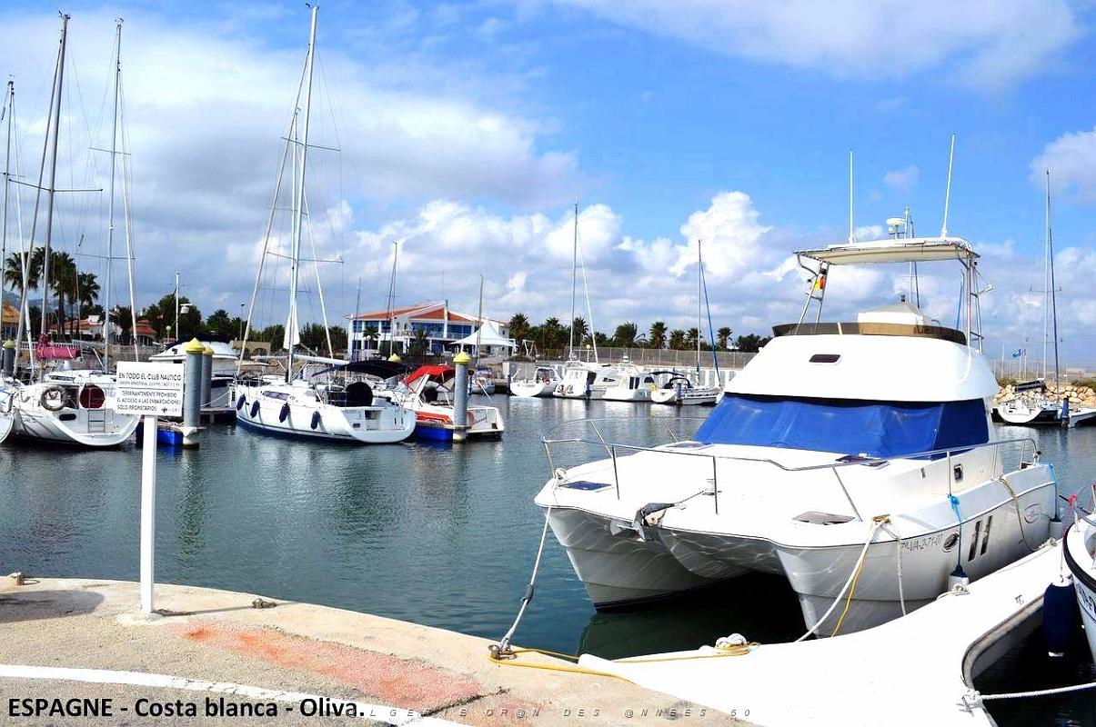 208- Oliva.JPG